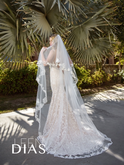 Veil 1
